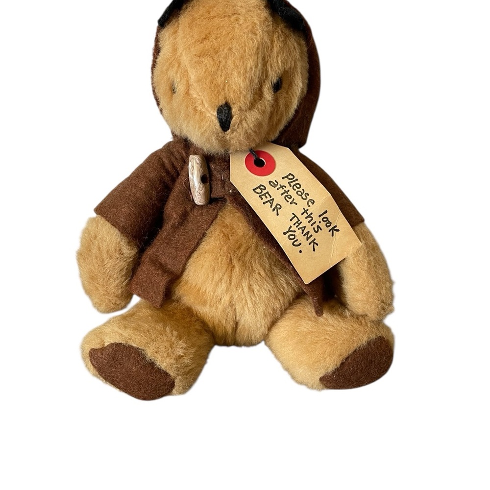 Vintage Paddington Bear 9” Plush 1975 Eden Toys Brown Coat Teddy Stuffed Animal